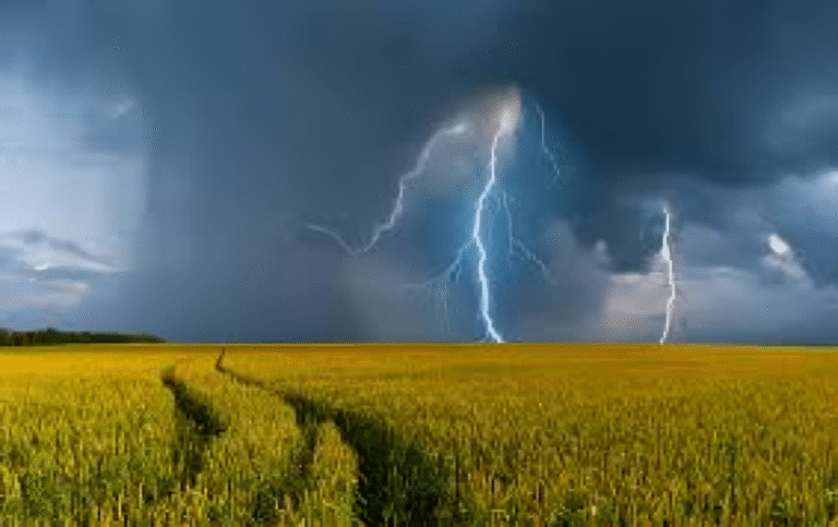 Vigilance orages Comprendre et se préparer aux tempêtes